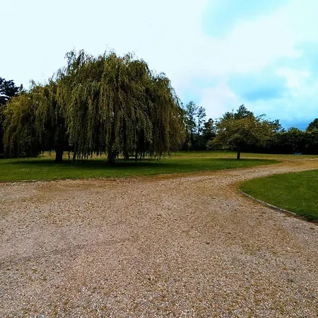 Le Petit Nid, T2 Rez De Jardin Avec Parking - Et Commerces A 15 A Pied 公寓 滨海维莱