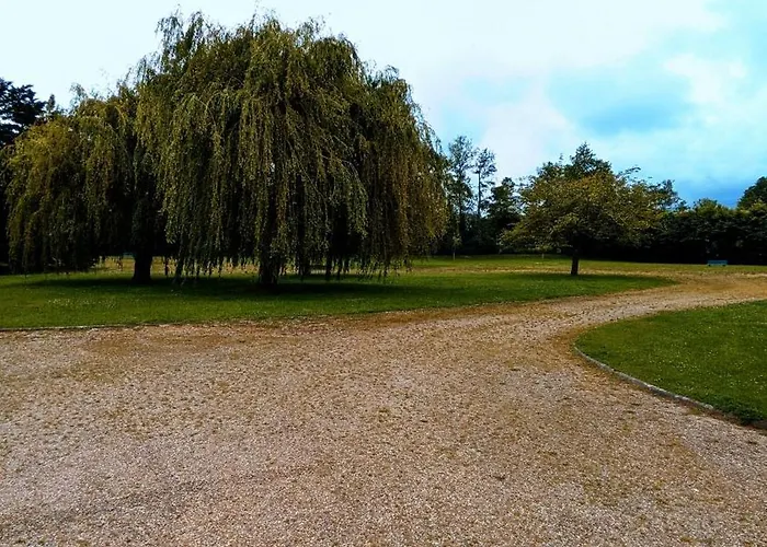 Le Petit Nid, T2 Rez De Jardin Avec Parking - Et Commerces A 15 A Pied 公寓 滨海维莱