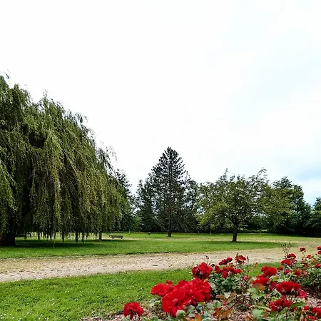 Le Petit Nid, T2 Rez De Jardin Avec Parking - Et Commerces A 15 A Pied