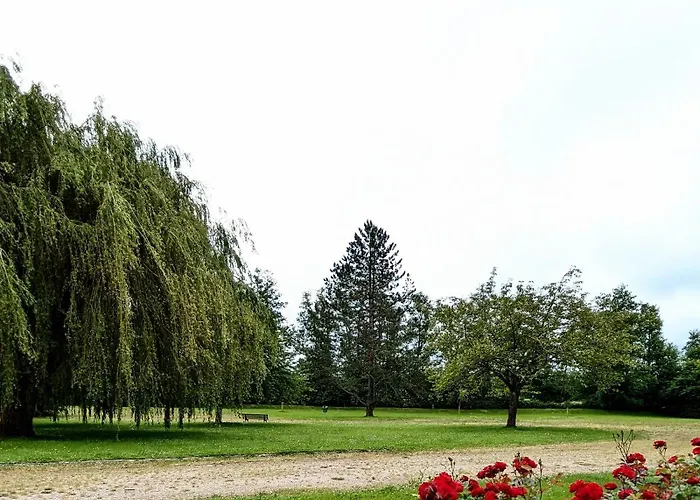 Le Petit Nid, T2 Rez De Jardin Avec Parking - Et Commerces à 15 à Pied